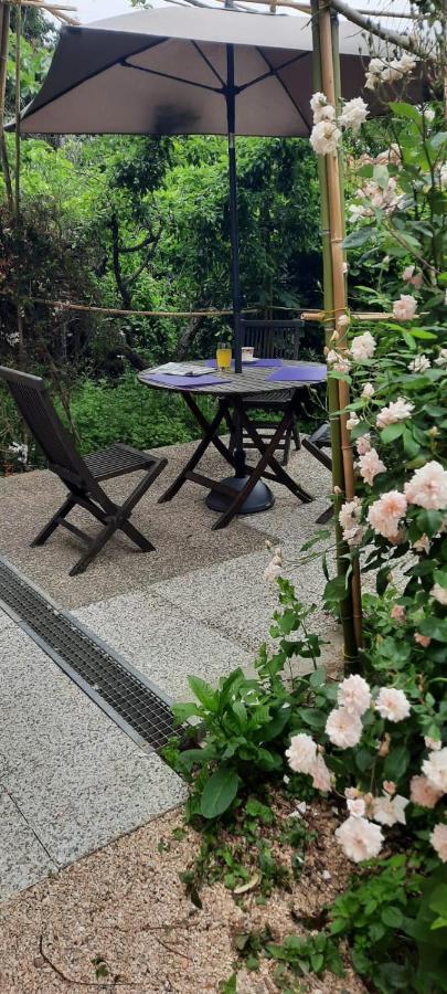 Villa El Correc Laroque-des-Albères エクステリア 写真
