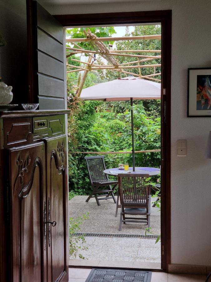 Villa El Correc Laroque-des-Albères エクステリア 写真