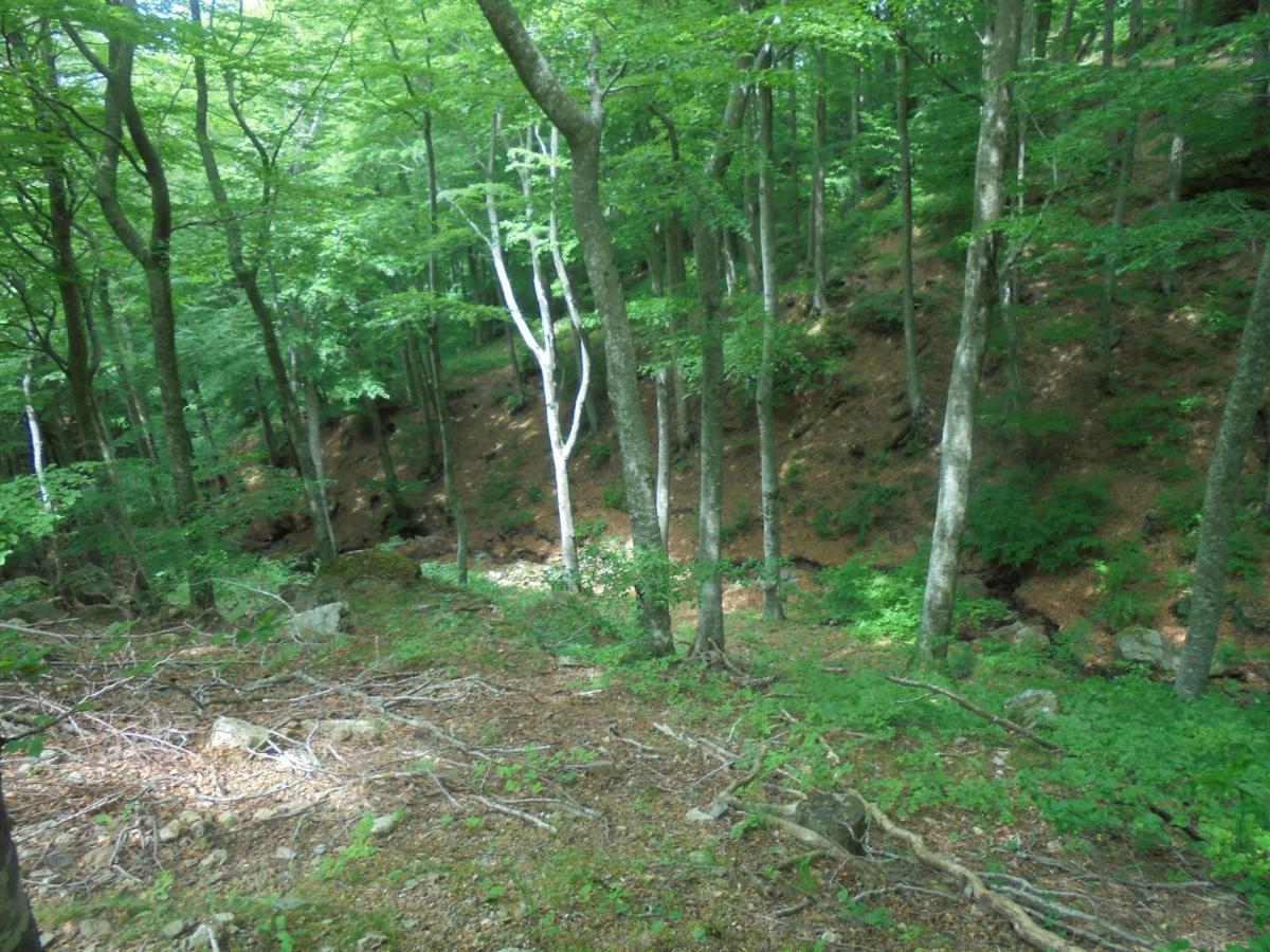 Villa El Correc Laroque-des-Albères エクステリア 写真