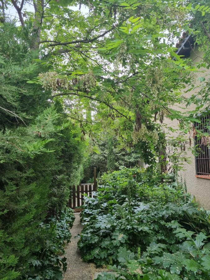 Villa El Correc Laroque-des-Albères エクステリア 写真