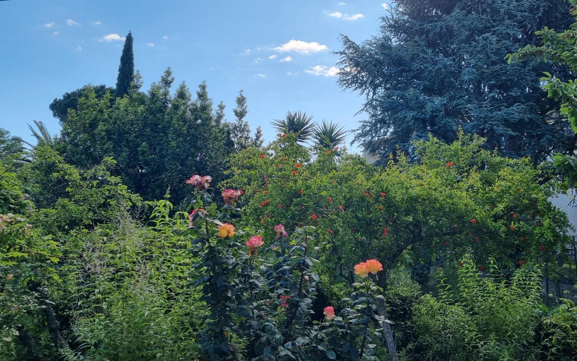 Villa El Correc Laroque-des-Albères エクステリア 写真